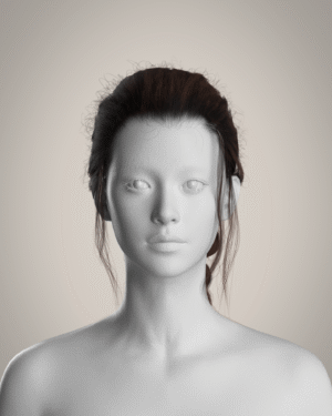 Dark Long Braided Hair