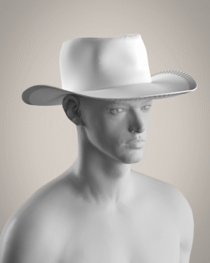 Cowboy Hat (MV2)